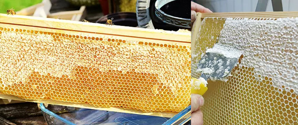 吉林長(zhǎng)白山基地